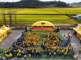 신안군 팔금 섬 유채꽃 축제 성황리 마무리, 3만 3천여 명 다녀가