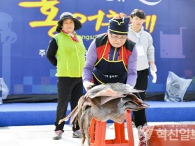 숙성 홍어, 왜 영산포인가? 600년을 이어온 삭힘의 미학