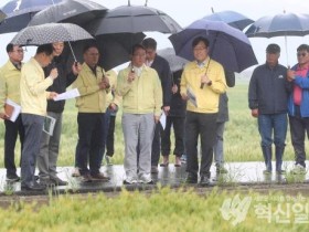 전남도, 호우피해 현장 살피고 신속한 복구대책 지시