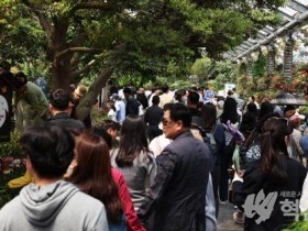 5만명 방문’ 제25회 함평 나비대축제 “내년에 또 만나요