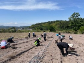 장흥 장동면 직원들, 농촌일손돕기 ‘힘 보태’