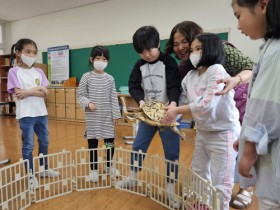 우리 학교에도 파충류가 찾아왔다고?