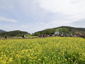 2023 청산도 슬로걷기 축제에 8만 명 다녀가 ‘성황’