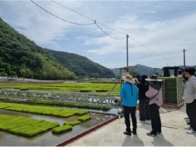 화순군, 벼 육묘상자 자동이송장치 신기술 보급