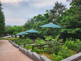 전남산림자원연, 치매 고위험군 산림치유 효과 검증한다