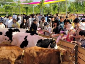 함평군, 나비대축제 축산 프로그램 ‘풍성’