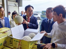 나주시, 세지멜론 ‘세론이’ 일본 수출길 올랐다