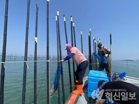 함평군, 낙지 1만4천여 마리 방류 “어족자원 회복 기대”