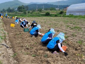 군인, 기업 임직원, 대학생이 영암으로 간 까닭은