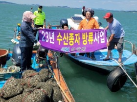 신안군! 청정 갯벌어장에 맞춤형 고소득형 패류 살포