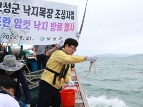 보성군, 낙지 금어기에 포란 암컷 낙지 3,000마리 방류