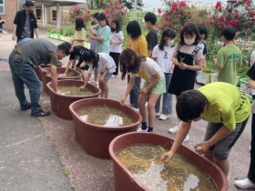 해남군“도시학교에서 친환경 쌀 키워요”