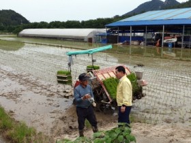 장흥 용산면, “현장 행정 나섰다” 논에서 만나는 지역민