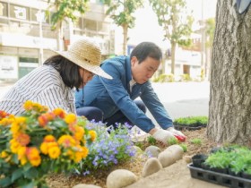 목포시, 주요 간선도로변 가로수 꽃길 조성해 방문객 유혹