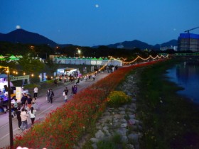 장성군 “꽃과 빛의 향연… 장성 황룡강 낭만 가득”