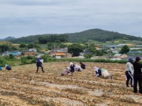 보건소, 농촌일손돕기 추진