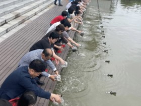 순천시, 친환경 모기유충 방제 위해 미꾸라지 방류