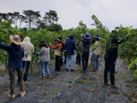 산림공원과 농촌 일손 돕기 추진