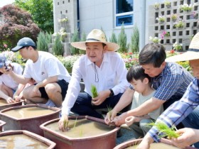 담양 수북농협 로컬푸드 직매장 모내기, 감자 캐기 체험 진행