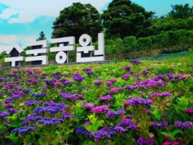 신안군, 배로 가는 1004만 송이 수국축제 준비 한창