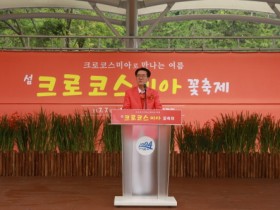 신안군에서 전국 유일의 ‘크로코스미아 꽃축제’  7월 7일 개막