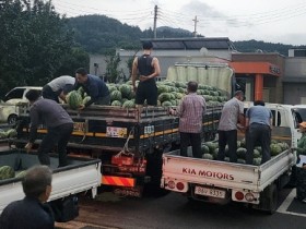 나주 다도면 재경향우, 수박 1400통 통 큰 기부