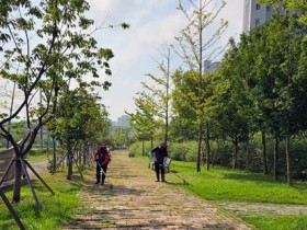 ‘잡초와의 전쟁’ 나주시, 빛가람혁신도시 경관 개선 구슬땀