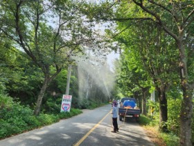 장성군, 가로수 선제적 방제 ‘총력’