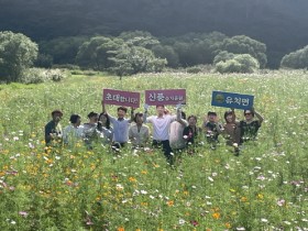 장흥 유치면, 신풍습지공원서 코스모스와 ‘인생샷’ 남겨요