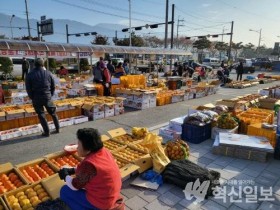 구례군, ‘구례 감’특별 직거래 장터 운영