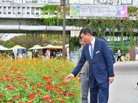 “반갑다, 가을꽃들아!” 김한종 장성군수 축제현장 점검