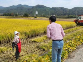 장성군, 고품질 벼 수확 위한 ‘다각도 지원’