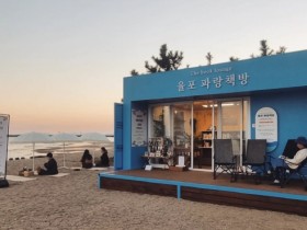 보성 차밭과 바다에서 여유로운 독서의 시간 어떠세요?