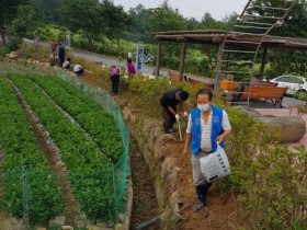 곡성군 상금마을, 청정전남 으뜸마을을 위한 마을 가꾸기 실천