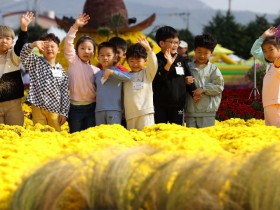 강진만 갈대축제장은 우리의 놀이터