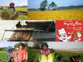 “지금이 제철”해남명품 농수특산물 4총사 해남미남축제 출격