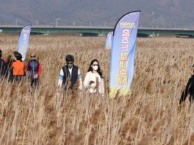 “춤추는 갈대밭 따라 피어나는 꽃, 사람”  강진만 춤추는 갈대축제 10.13 ~ 10.22 강진만생태공원에서 열려