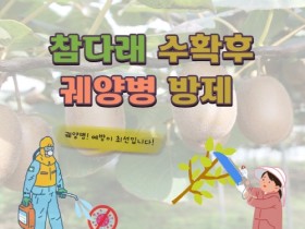 광양시, 참다래 수확 후 궤양병 방제 당부