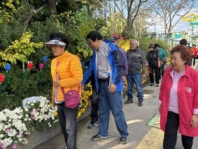 함평군 월야면, 어르신과 떠나는 국화 나들이 행사