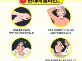 불편한 빈대 출현! 이렇게 대응하세요.