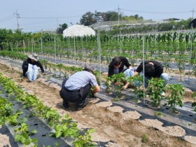 함평군 농업기술센터,  전국 민원행정분야 협업 우수기관상 수상