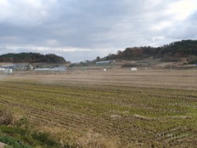 신안군, 압해읍농업경영인회 농지 토양 살리기 공동 참여