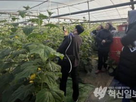 보성군, 벌교 부농회에서 오이 재배기술 및 현장 컨설팅 추진