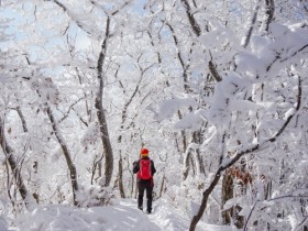 광양시, 눈부신 설경 자랑하는 백운산 눈꽃여행 어때요?