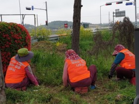 ‘일하는 노후, 행복한 청춘’ 나주시, 2024년도 노인 일자리 3805명 모집