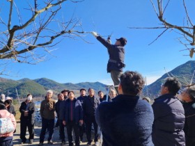 함평군, 겨울철 감나무 전정 위한 선진지 견학 실시