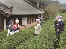 강진군 ‘푸소’, 행안부 생활인구 증대사업 대표 사례 선정