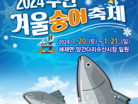 무안군, 2024 무안 겨울 숭어 축제 개최!!