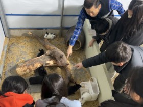 함평군 농촌교육농장 ‘콩강아지농장’ 지역사회 상생 앞장