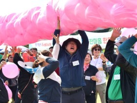 황룡강서 나룻배 타고 축령산에서 요가… 장성군 소규모 축제 ‘기대되네’